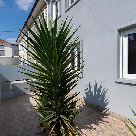 Charming Bright House W/ Garden Holiday home Porto